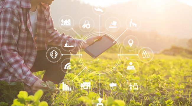 industria agroalimentaria segura