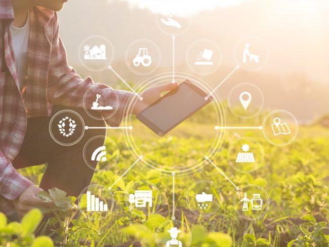 industria agroalimentaria segura