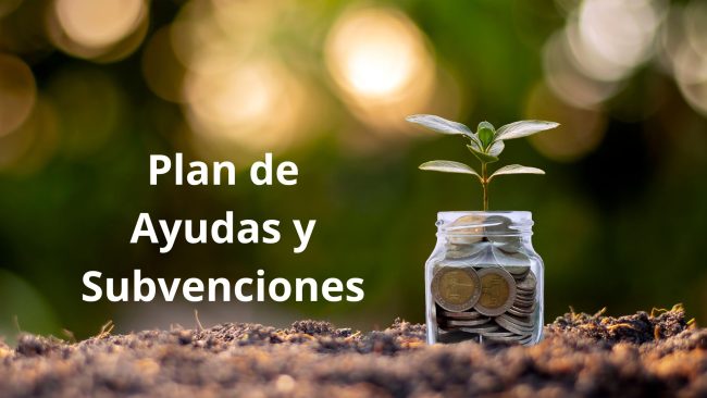 INTERNACIONALIZACIÓN (2)