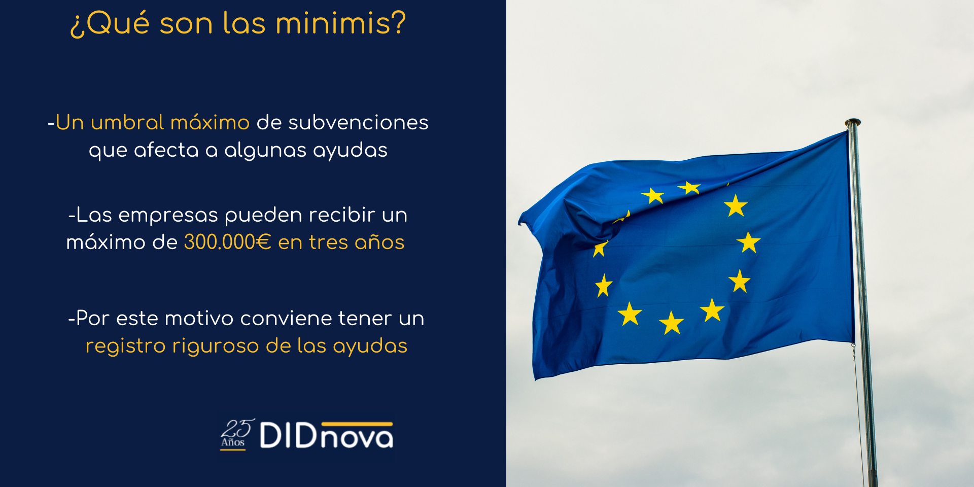 Contenido Minimis (1) Contenido Minimis (1)