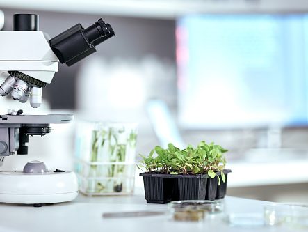istockphoto 1616389817 170667a