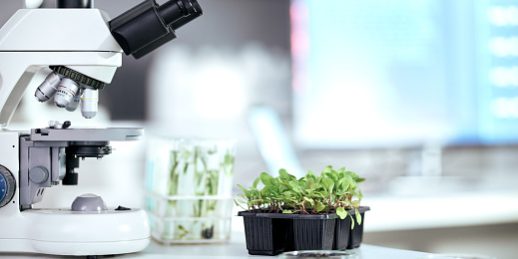 istockphoto 1616389817 170667a