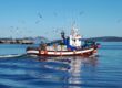 1658477990.0x0.fe.180.33.barcos.pesquero