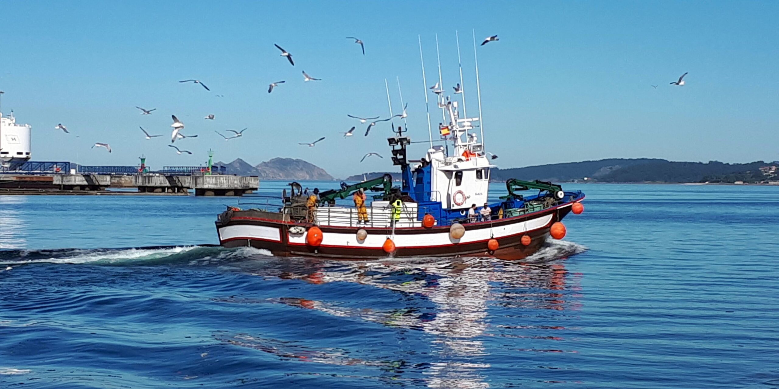 1658477990.0x0.fe.180.33.barcos.pesquero